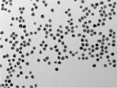 Gold - dry nanopowder, hydrophobic, 2 nm 1 Gold nanoparticles