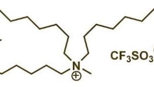 Methyltrioctylammonium triflate