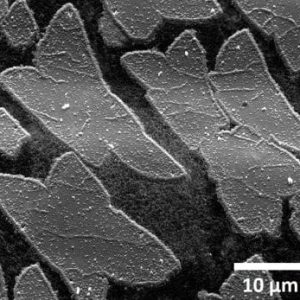 Anticorrosion Coatings