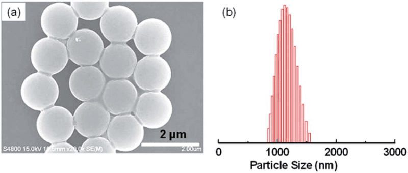 a-SEM-image-of-polystyrene-latex-beads-with-b-the-corresponding-particle-size 3
