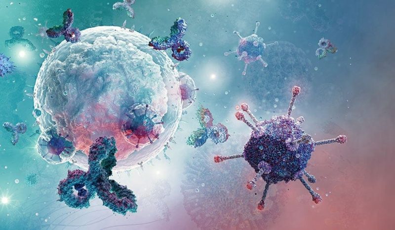 Quantitative-Flow-Cytometry-Cover 3