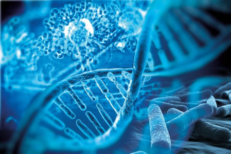 molecular-diagnostics-bruker-md 3