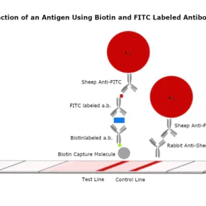 Gold Nanoparticle Conjugation Optimization Kit