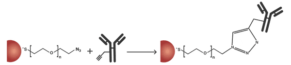 azideconjugationschematic_600x600