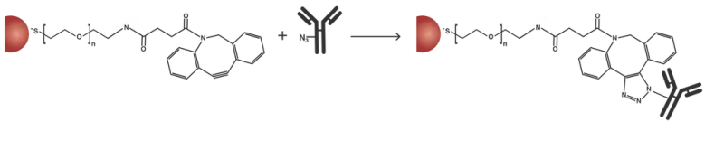 DBCOconjugationschematic