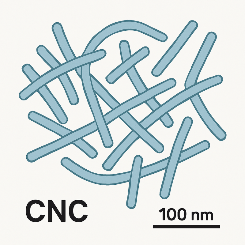cellulose nano crystals