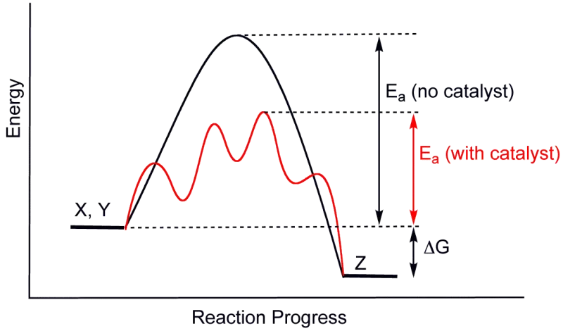 Catalysis