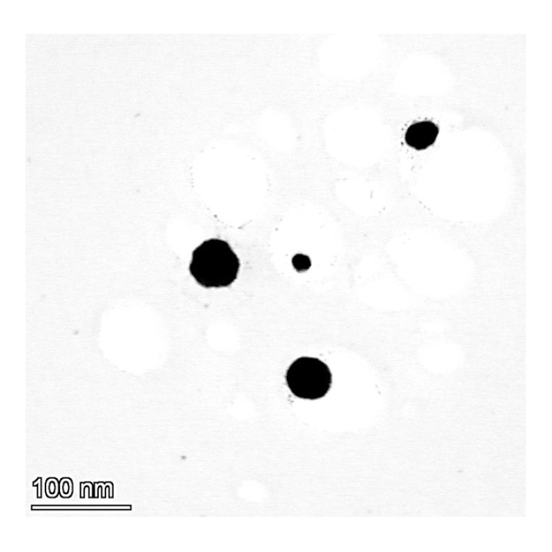 Copper Nanoparticles 3wt% Dispersion in Water